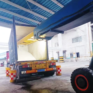 Container horizontal feeding conveyor