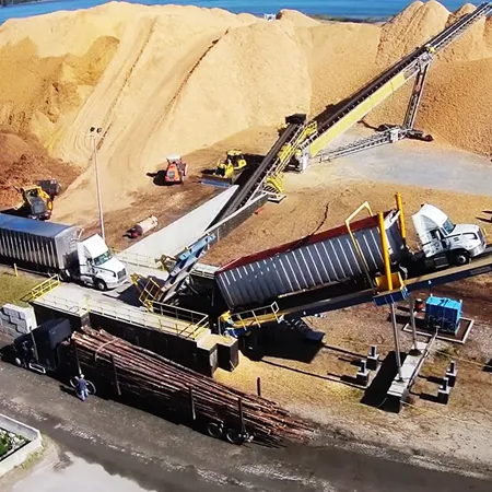 Container Unloading and Conveyor System Integration